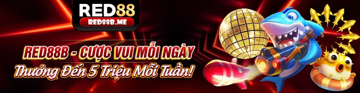 Thu thập dữ liệu người dùng 9KV99